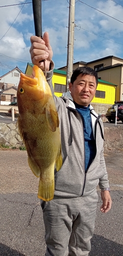 アオハタの釣果