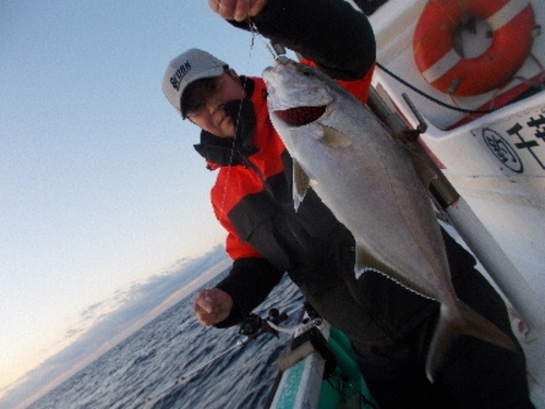 カンパチの釣果