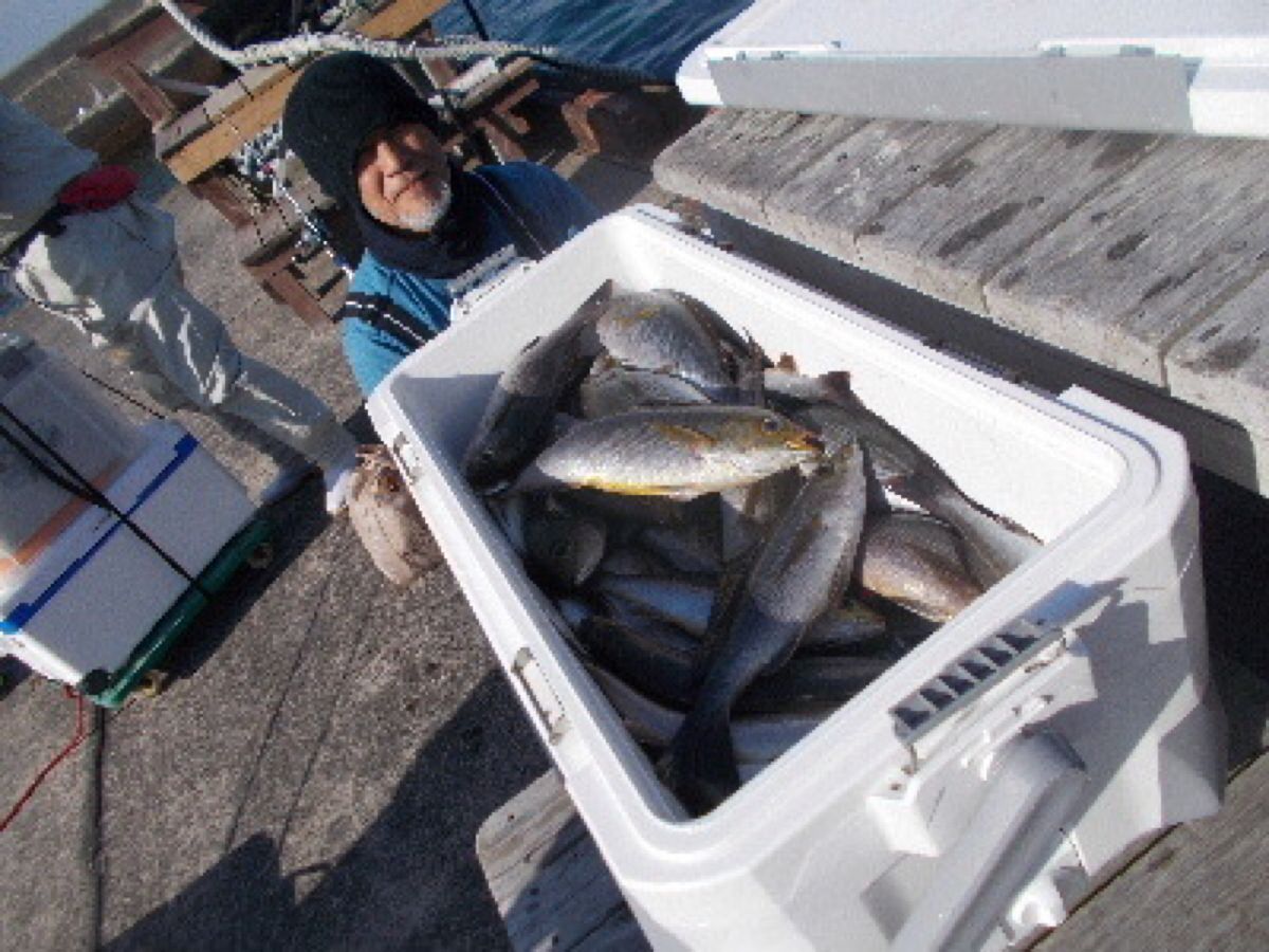 千葉県洲崎港 源平丸 船長🤗さんの釣果 2枚目の画像