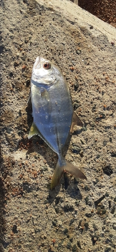 新舞子海岸（いわき）