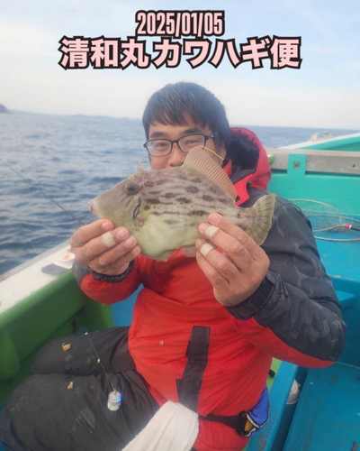 カワハギの釣果