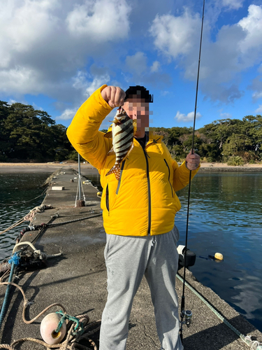 タカノハダイの釣果