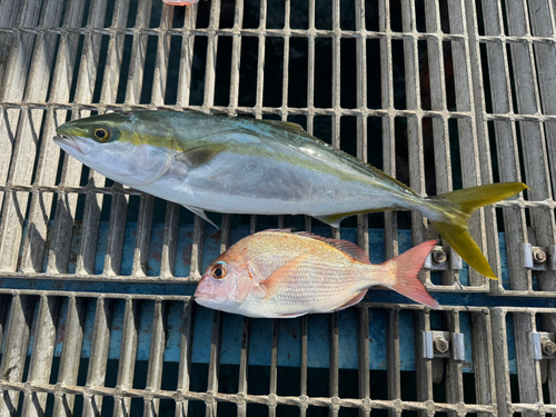 釣り公園シモツピアーランド