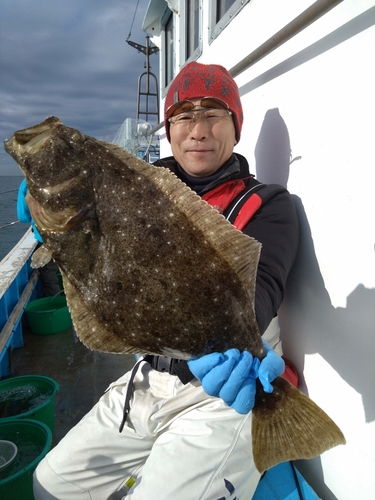 ヒラメの釣果