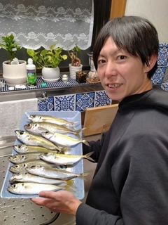 アジの釣果