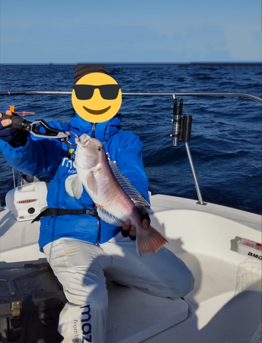 シロアマダイの釣果