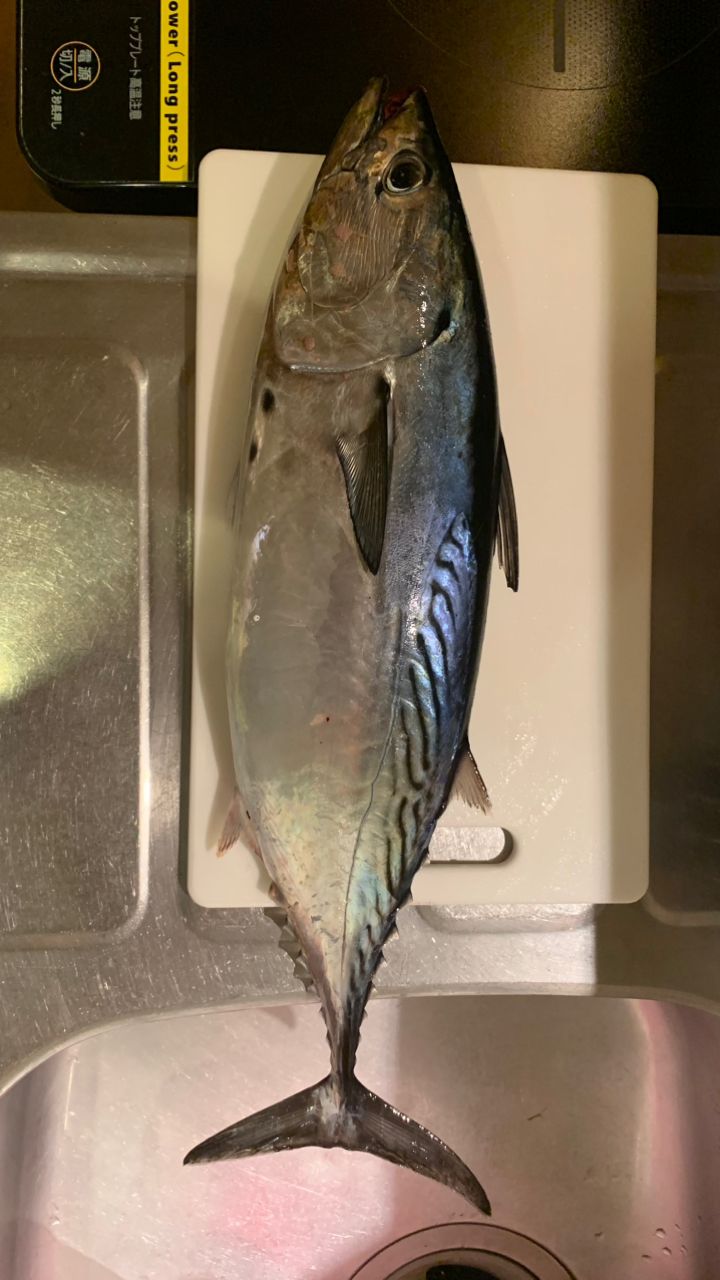 ITOIさんの釣果 2枚目の画像