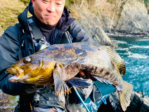 アイナメの釣果