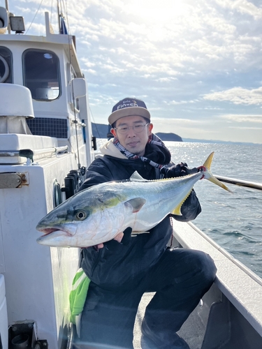 ブリの釣果