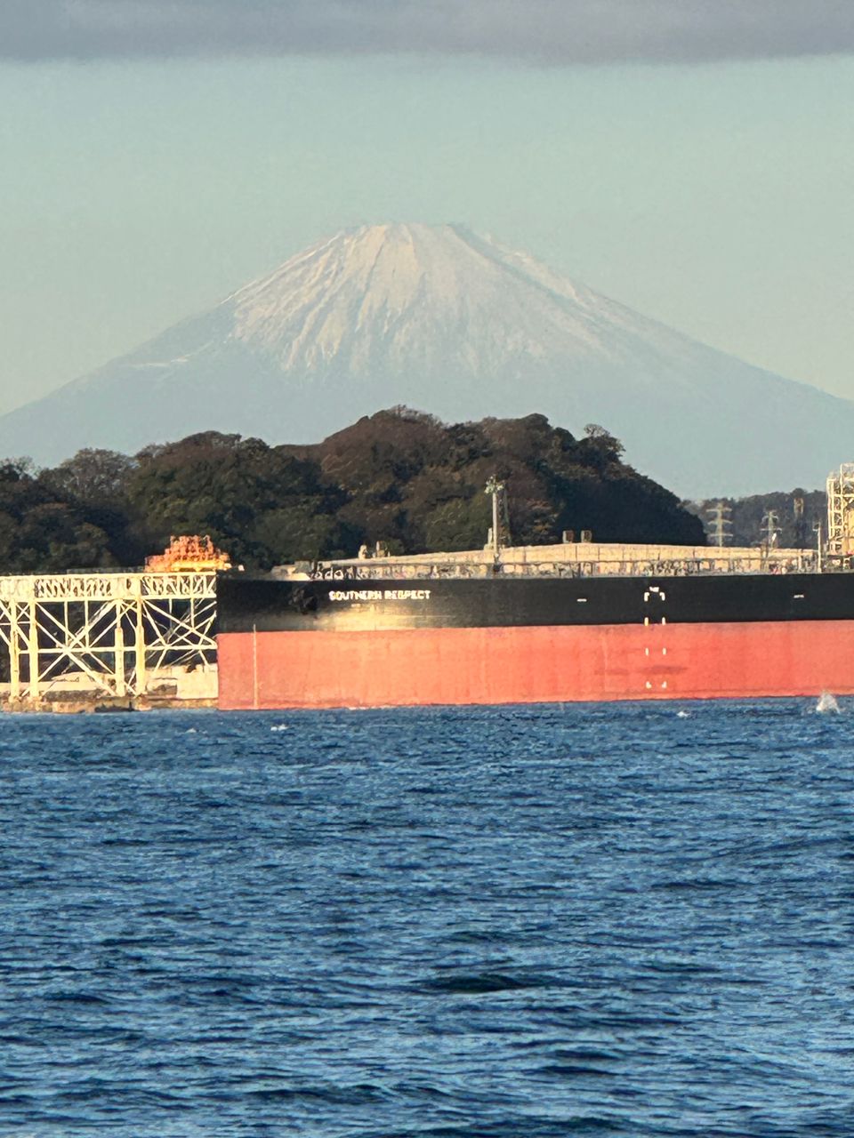 ふじFujiさんの釣果 2枚目の画像