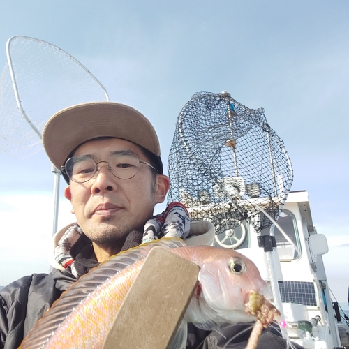 アマダイの釣果