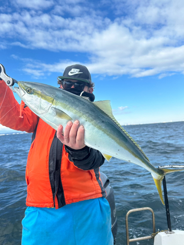 ワラサの釣果