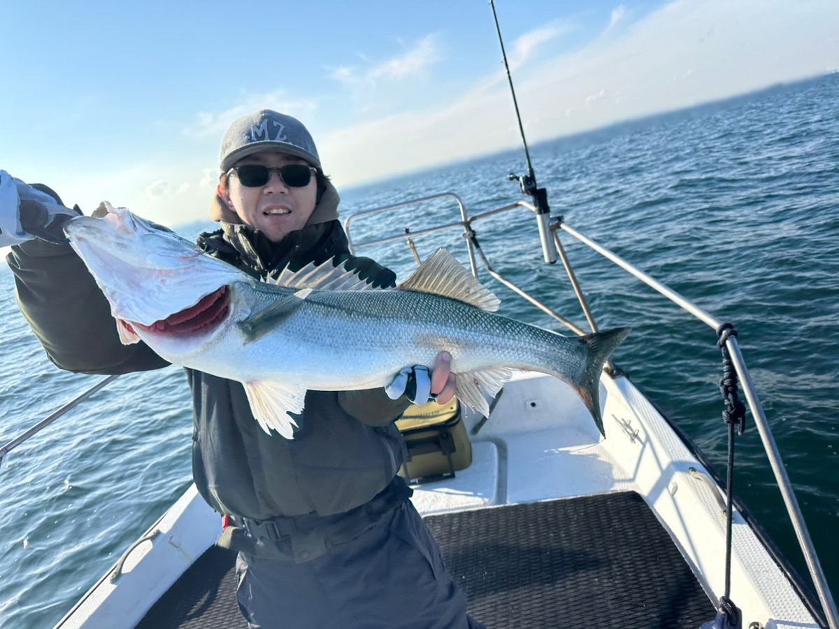 Ryo Kさんの釣果 2枚目の画像