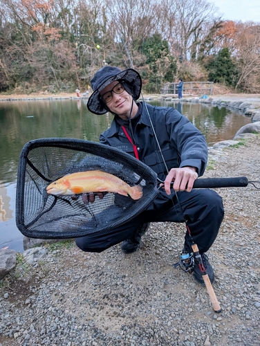 ニジマスの釣果