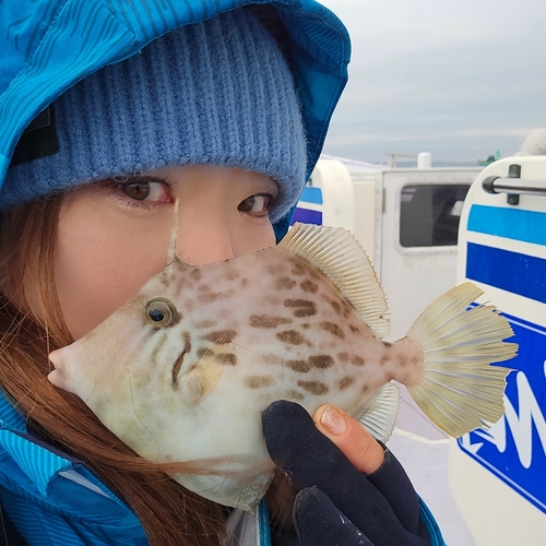 カワハギの釣果