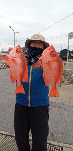 チカメキントキの釣果