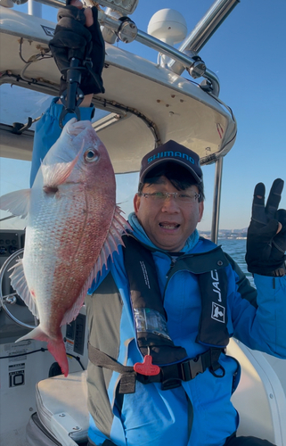 マダイの釣果