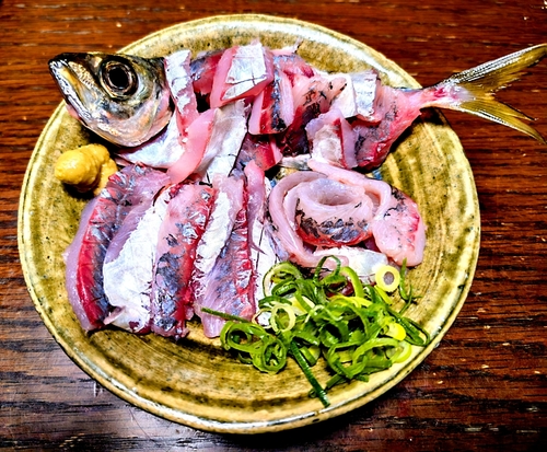 アオアジの釣果