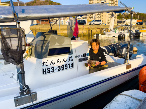 カワハギの釣果