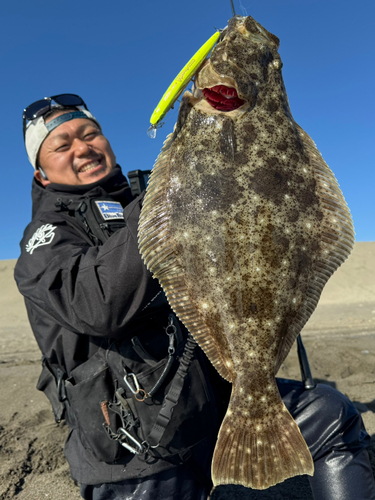 ヒラメの釣果