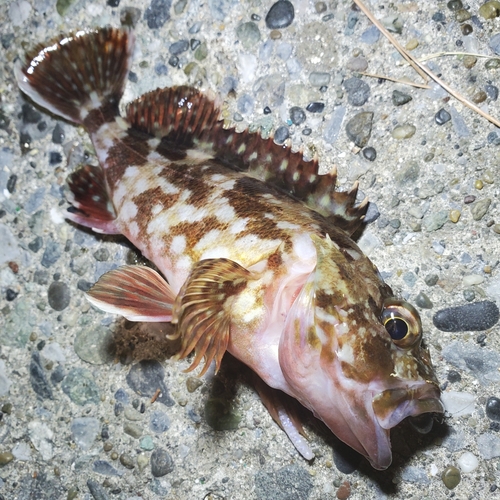 海辺つり公園