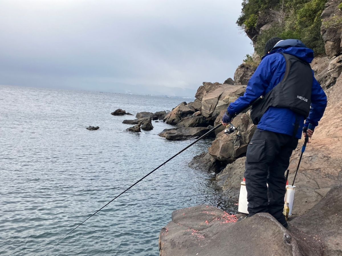 たくのぽさんの釣果 2枚目の画像