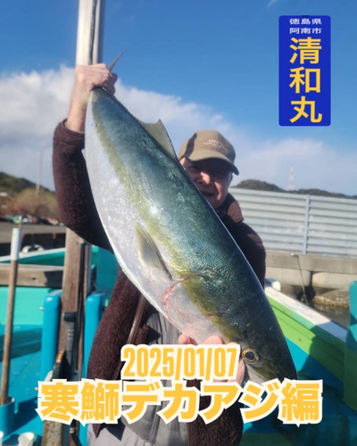 ブリの釣果