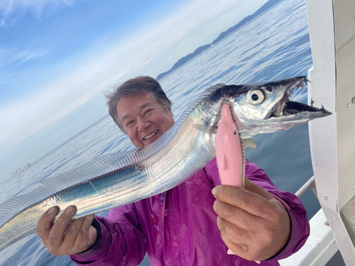 タチウオの釣果