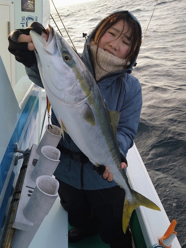 ワラサの釣果