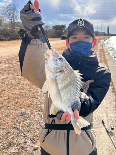 武庫川河口