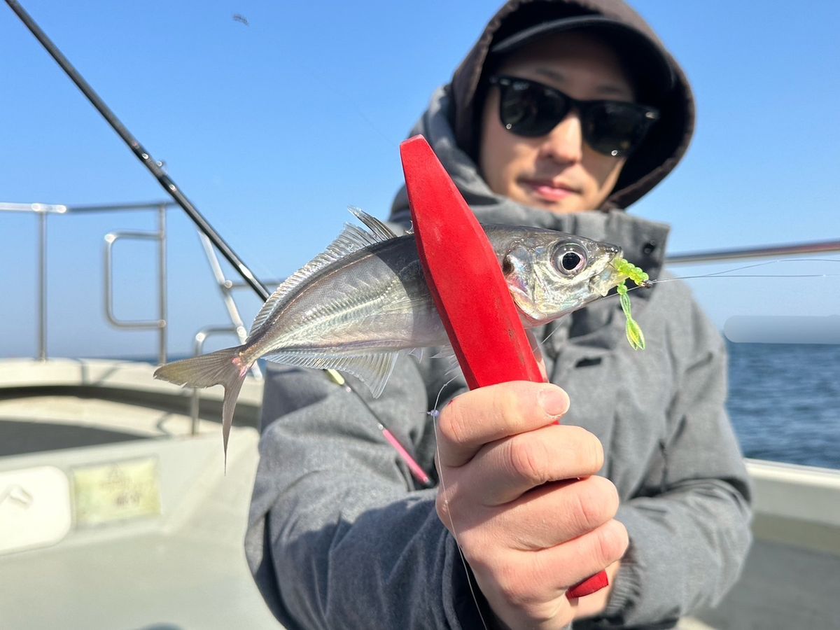 岬のナベちゃんさんの釣果 2枚目の画像