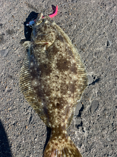 鹿島灘