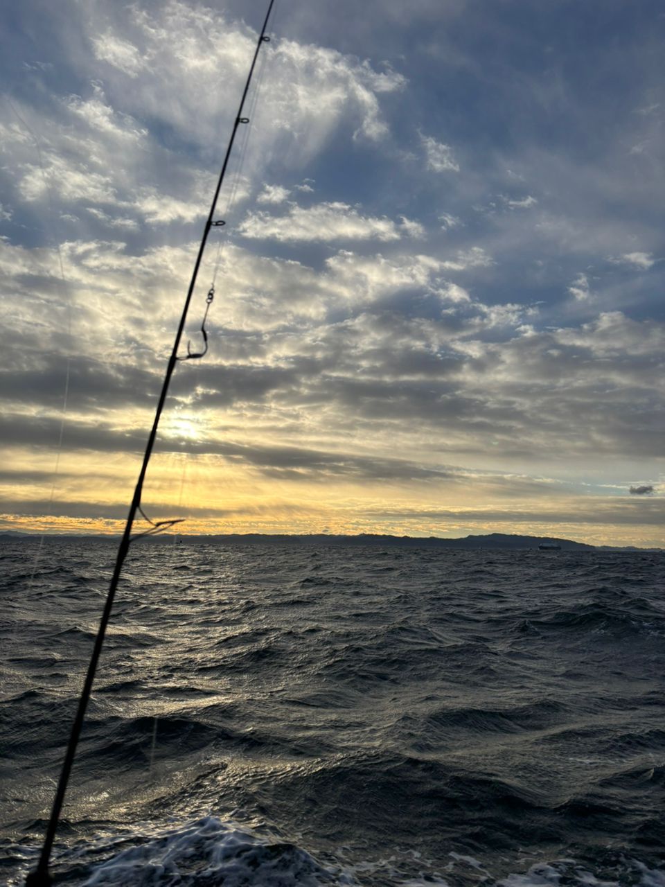 ぱぴです！さんの釣果 2枚目の画像