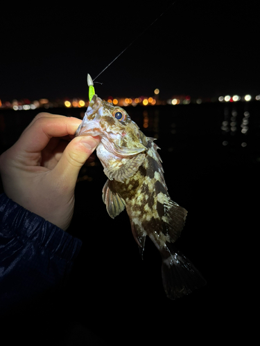 城南島海浜公園