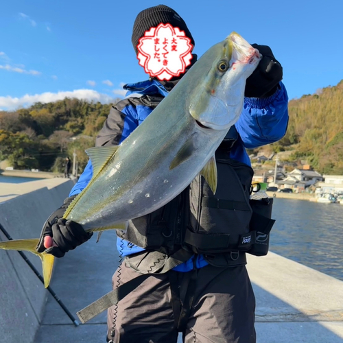 ブリの釣果