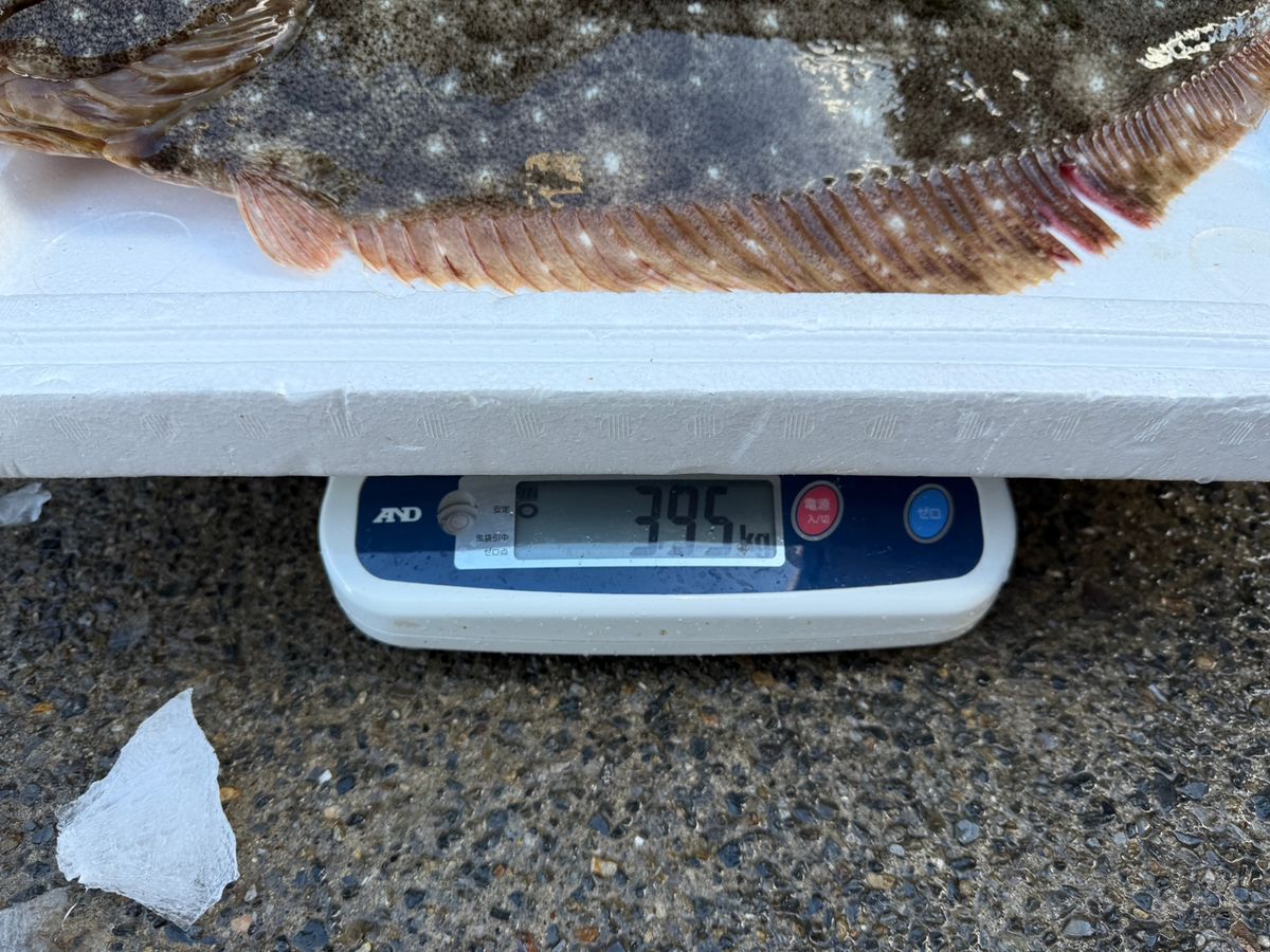 一つテンヤさんの釣果 2枚目の画像