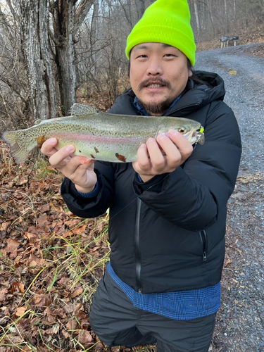 ニジマスの釣果