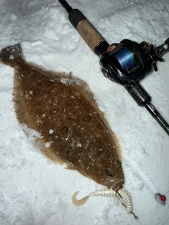 ミズクサガレイの釣果