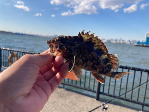 若洲海浜公園海釣り施設