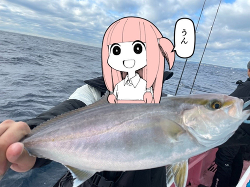 ショゴの釣果