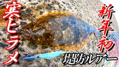 ヒラメの釣果