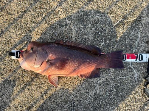 平磯海づり公園