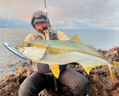 ヒラマサの釣果