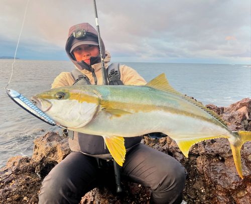 ヒラスの釣果