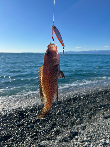 片浜海岸