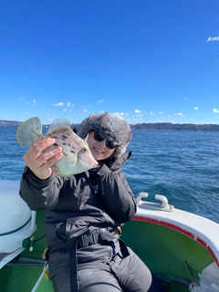 カワハギの釣果