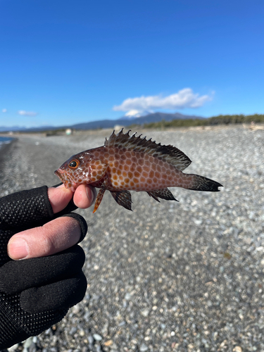 片浜海岸