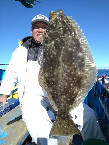 ヒラメの釣果