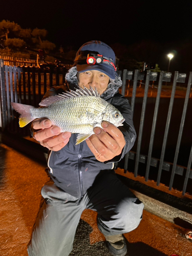 碧南海釣り公園