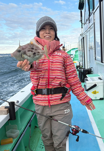 カワハギの釣果